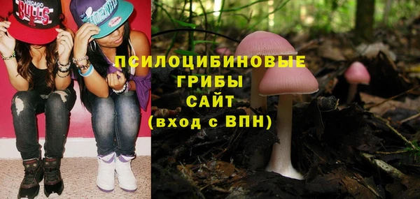 2c-b Арсеньев