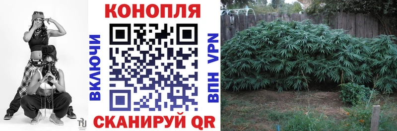 Бошки Шишки Bruce Banner  shop официальный сайт  Холмск 